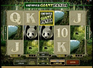 Giant Panda Slot Machine
