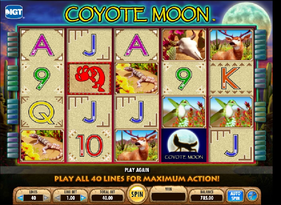 Coyote Moon hracie automaty