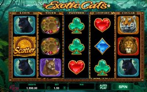 Hrací Automat Exotic Cats