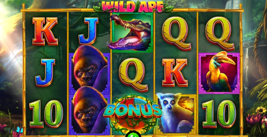 Video Automat Wild Ape