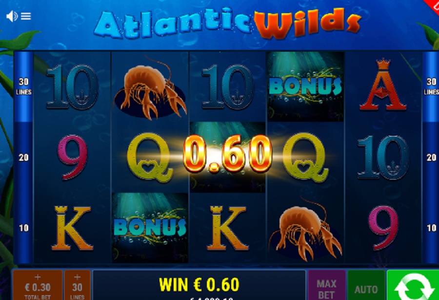 Hrací Automat Atlantic Wilds